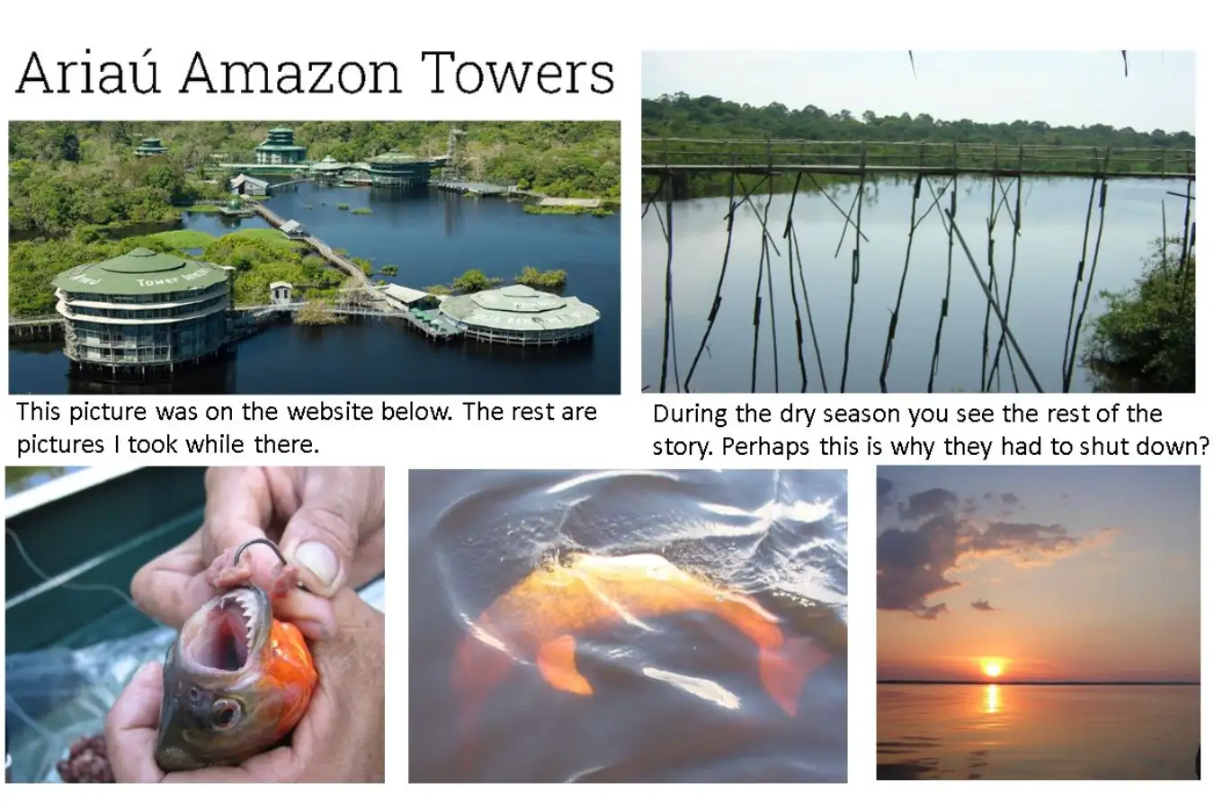 the-amazon-in-2004 Image